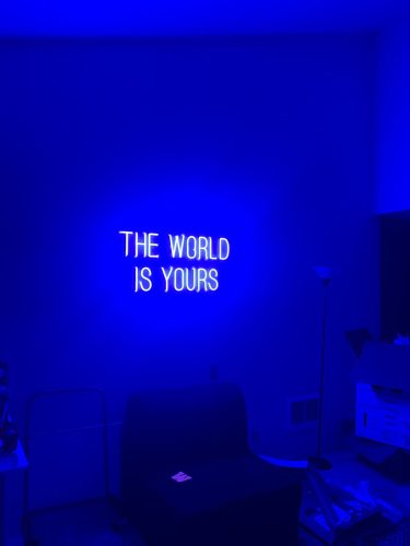 THE WORLD IS YOURS Neon LED Sign photo review