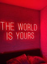 Click to view full screen THE WORLD IS YOURS Neon LED Sign photo review