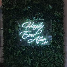 HAPPILY EVER AFTER Neon LED Sign 6 ee690f1f1afe4fd10f648c0a8ef48948 Fancelite